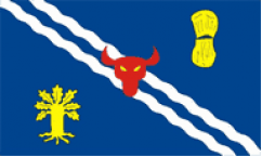 Oxfordshire Table Flags